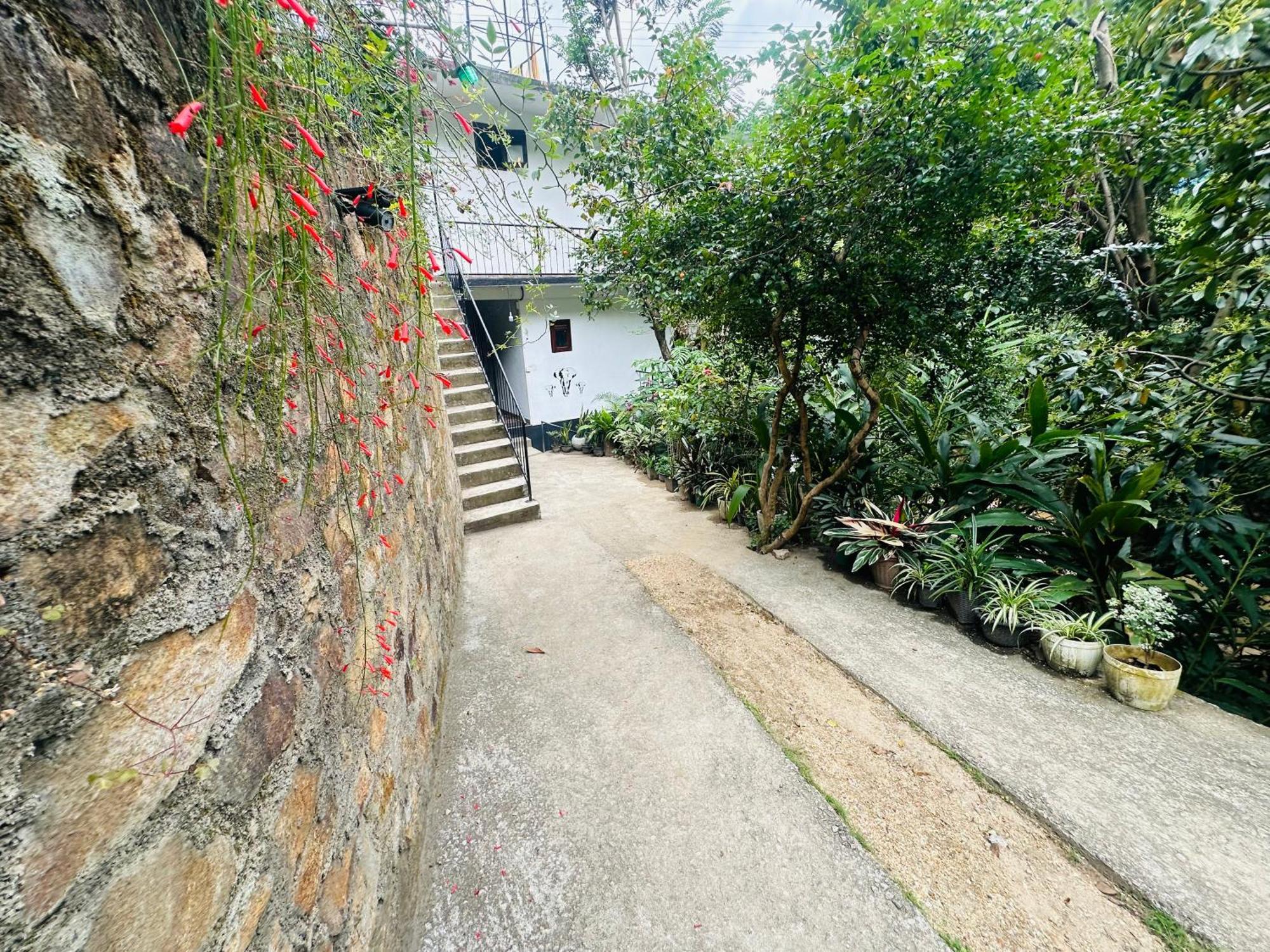 River Splendour Home Stay Ella Exteriér fotografie