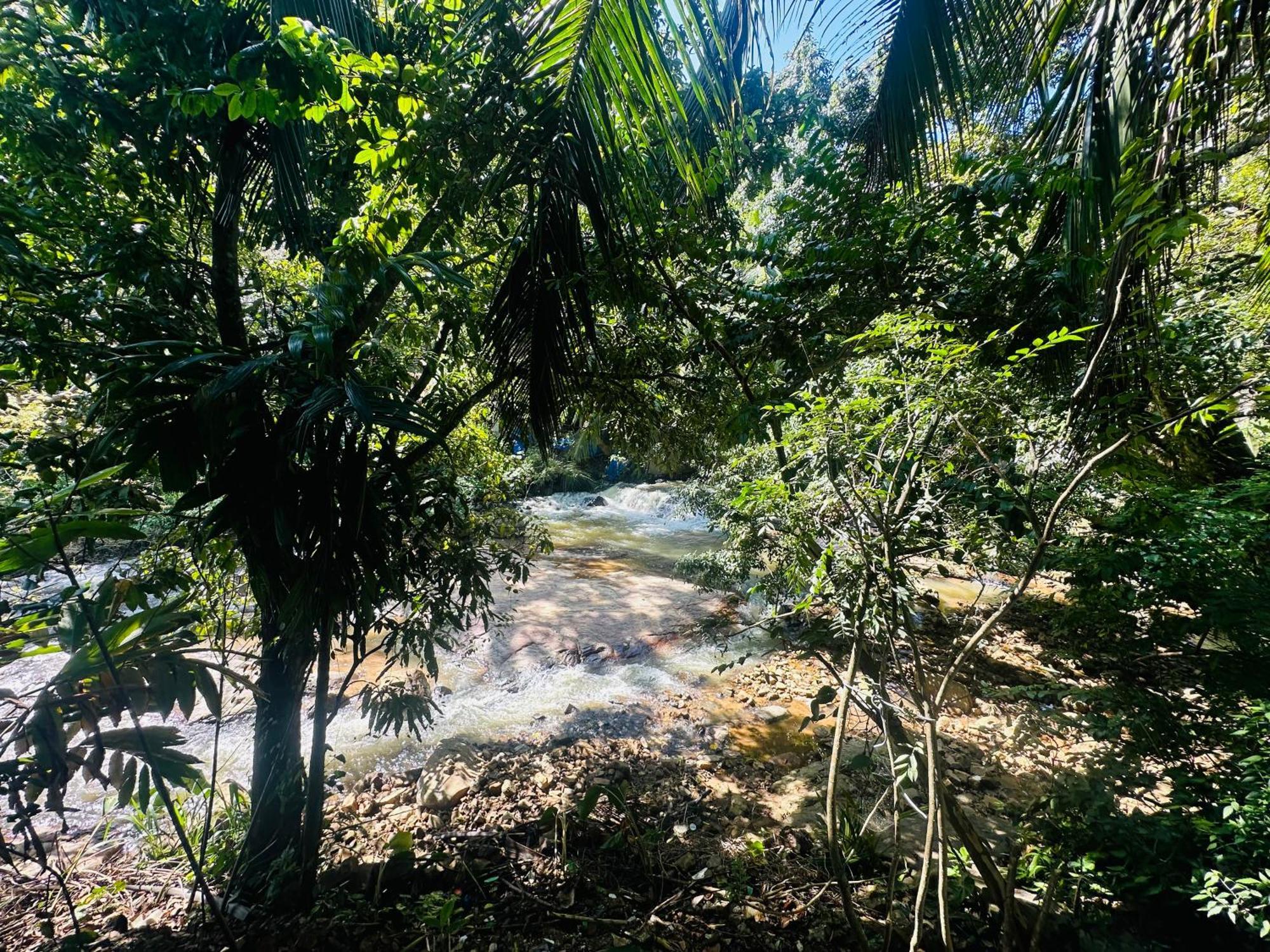 River Splendour Home Stay Ella Exteriér fotografie