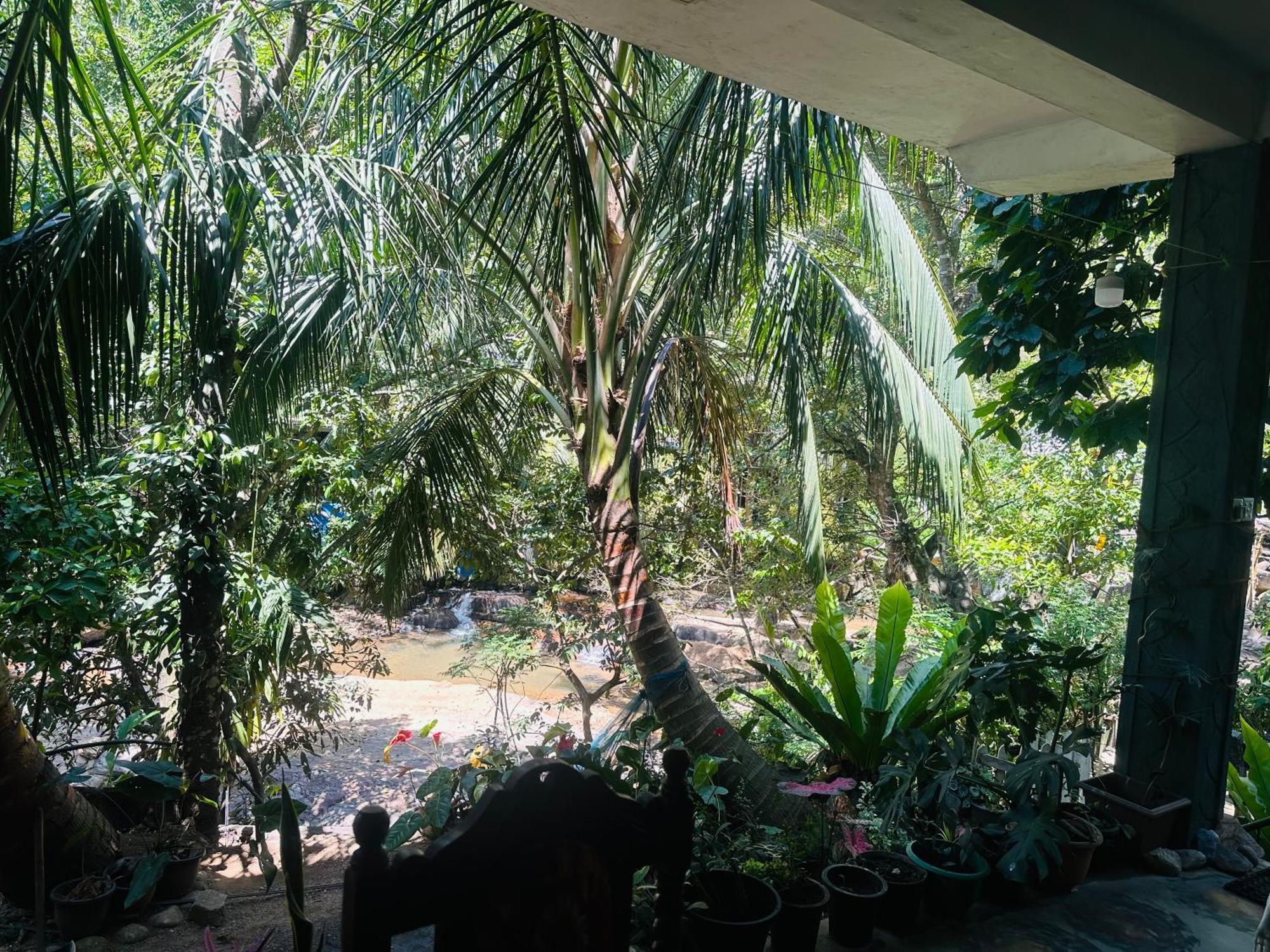 River Splendour Home Stay Ella Exteriér fotografie