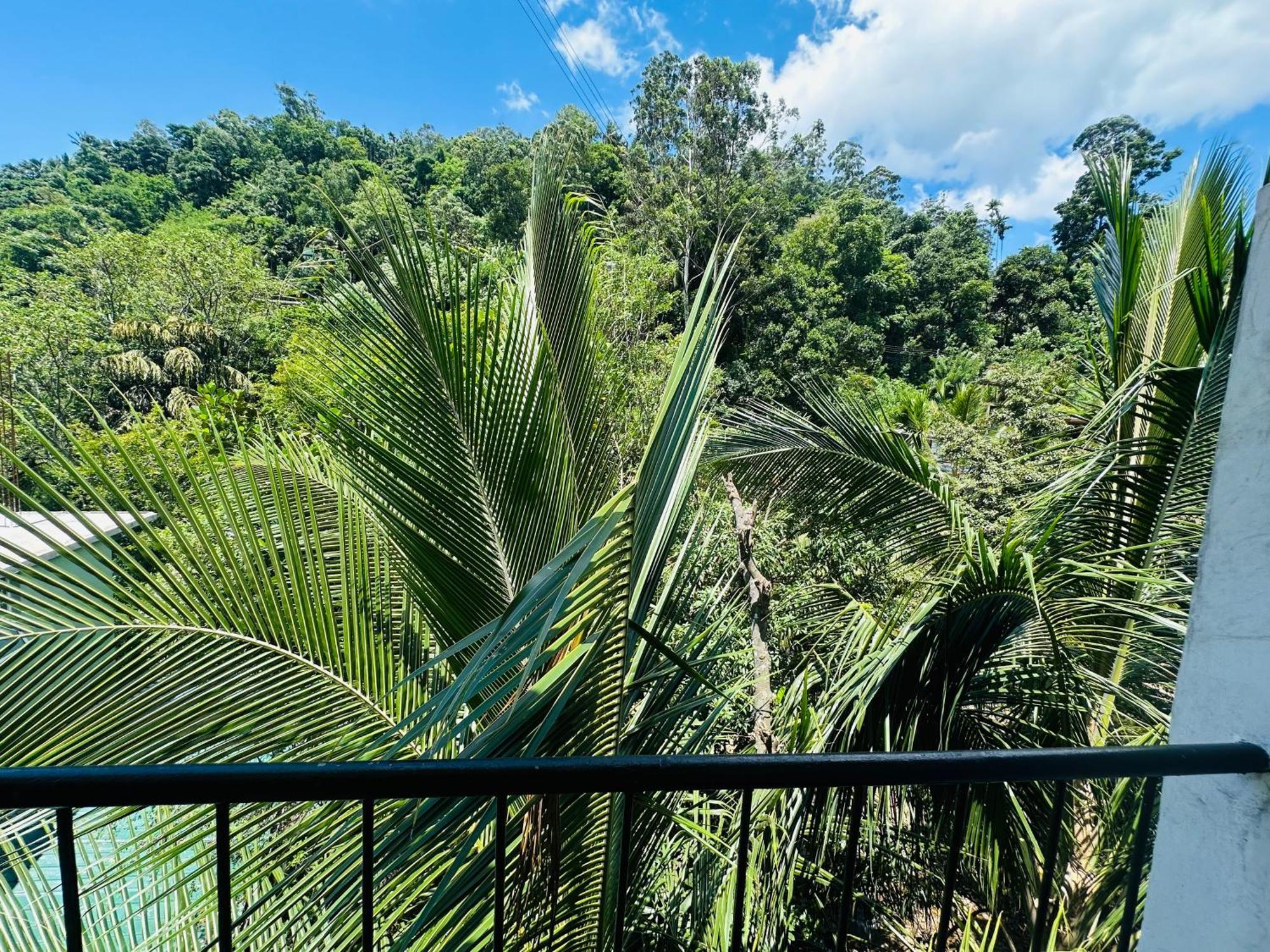 River Splendour Home Stay Ella Exteriér fotografie